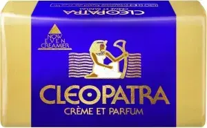 81vEuWGnphL. AC SL1500