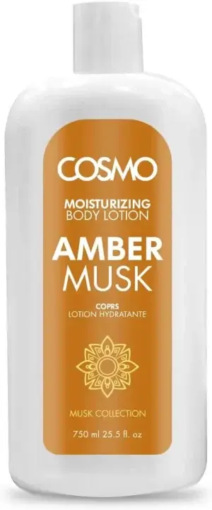 51kXY56+4ZL. AC SL1200