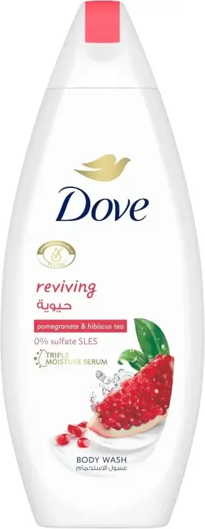 61Dl8wvNSxL. AC SL1500