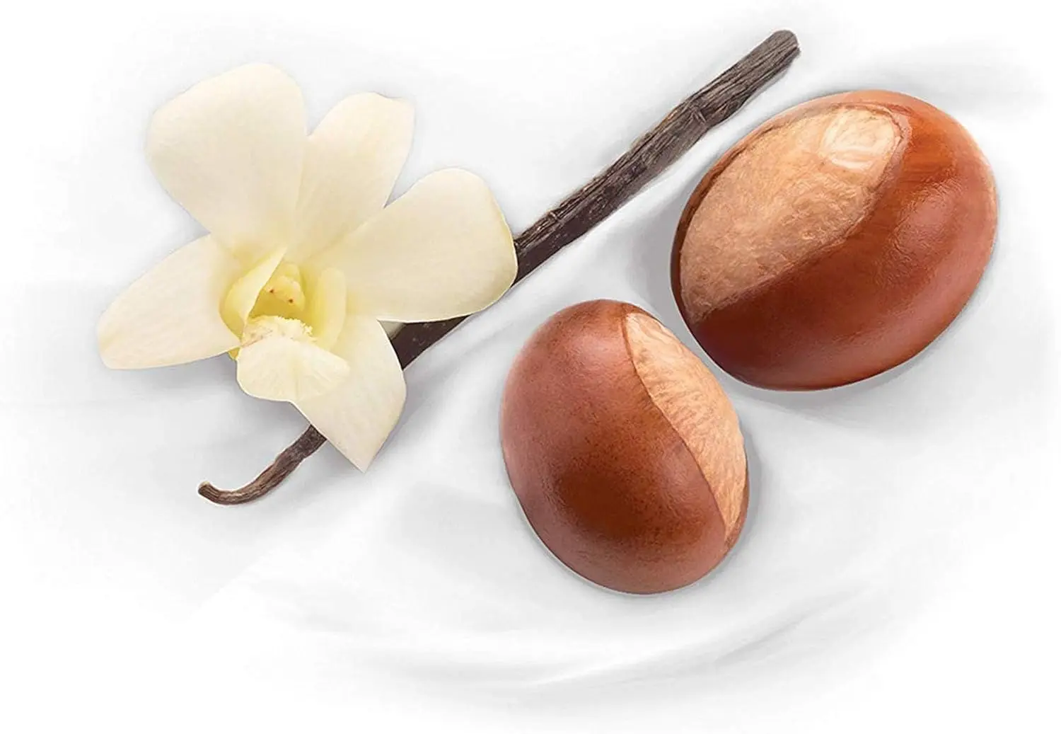 61X4iZFkJlL. AC SL1500