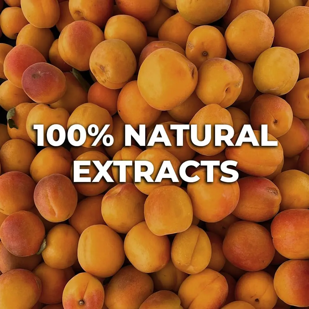 61bytKN+3UL. AC SL1000