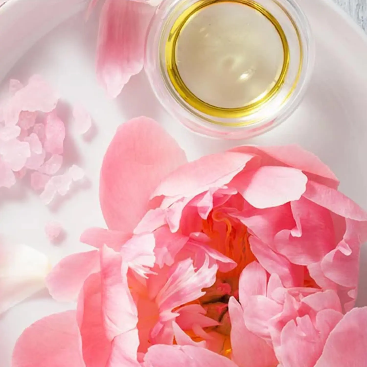 61t2PlIeoRL. AC SL1500