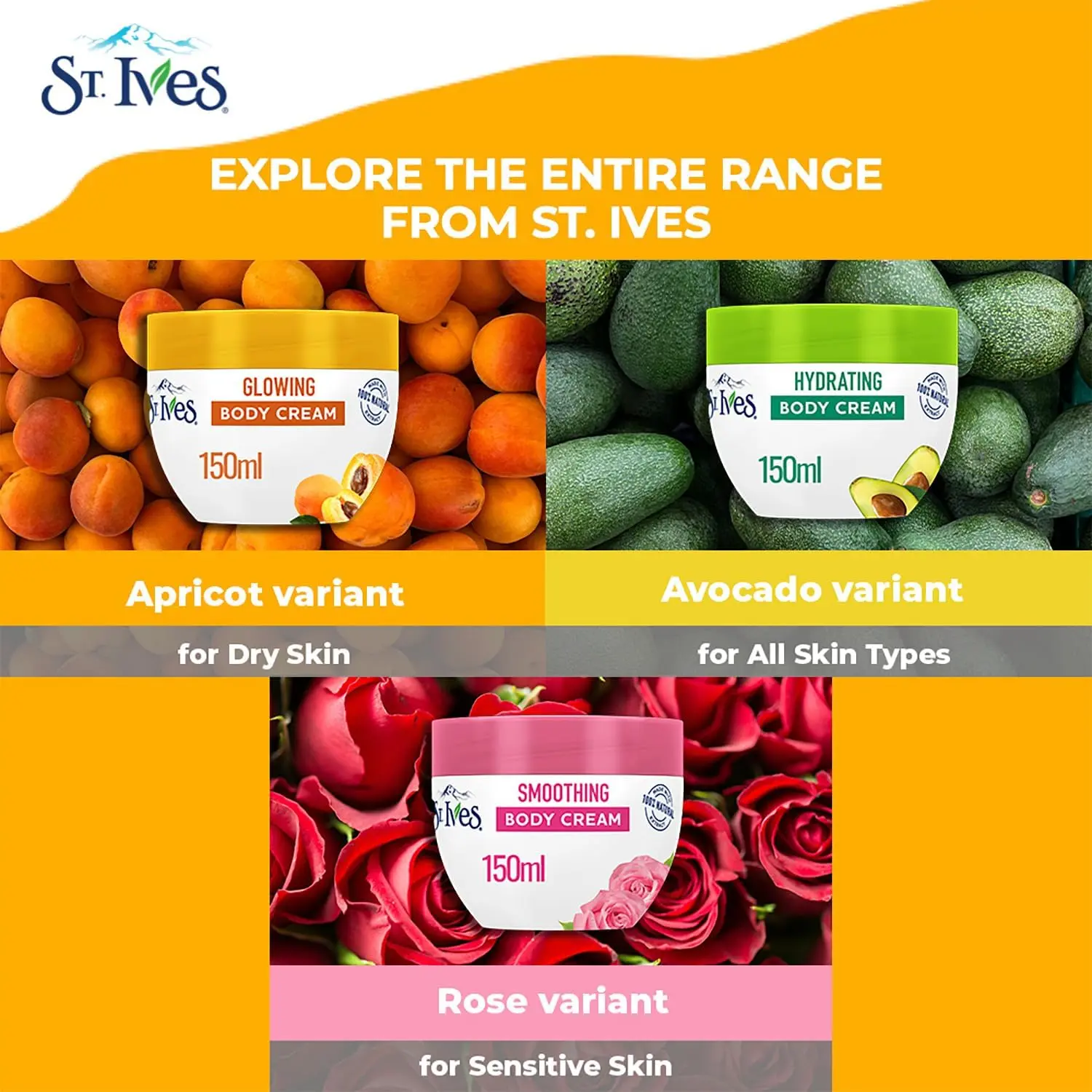 71rYoSpNBHL. AC SL1500 Copy