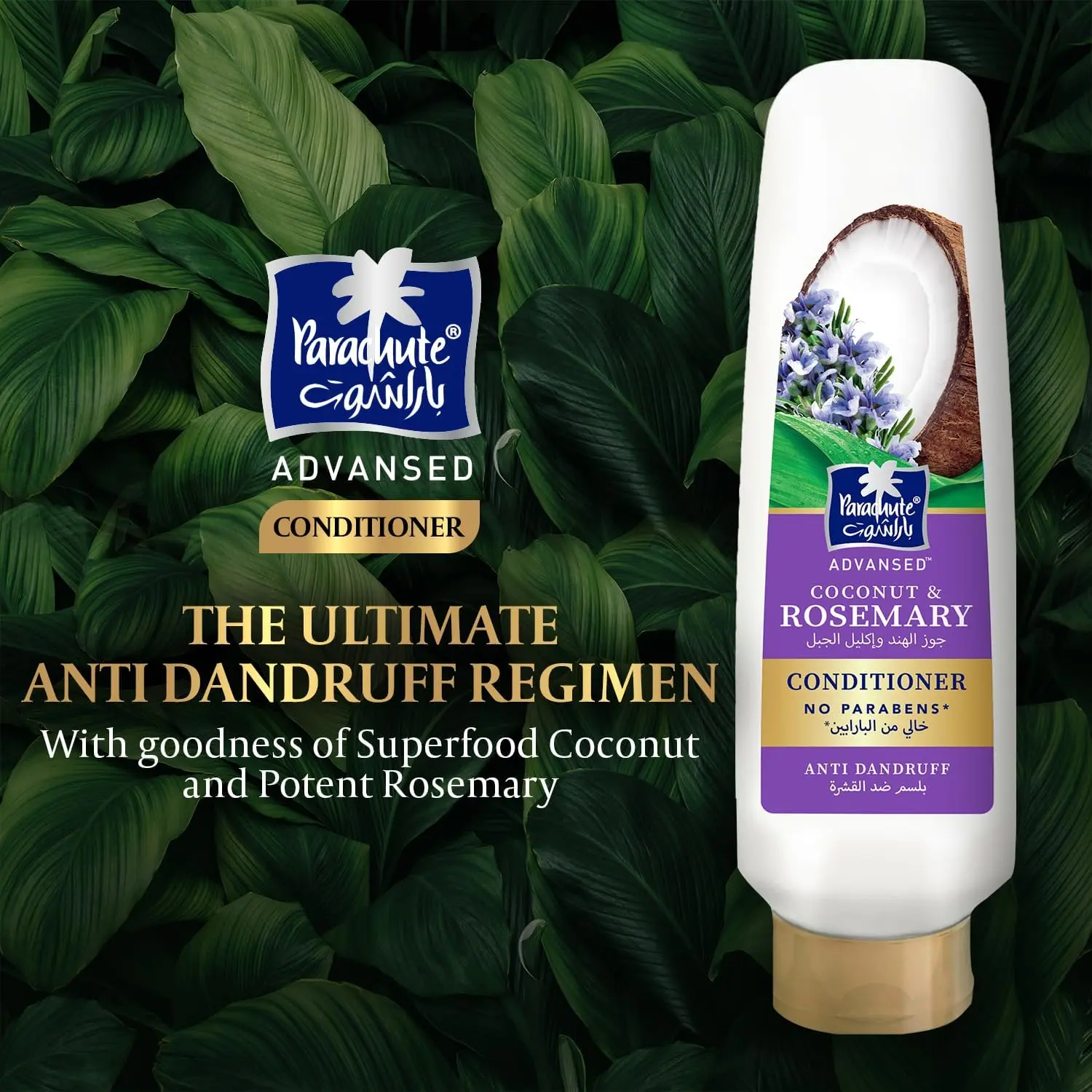 8106fpz5+GL. AC SL1500