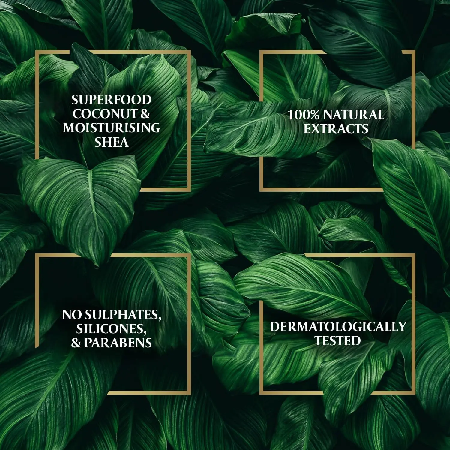 818JAbFwDIL. AC SL1500