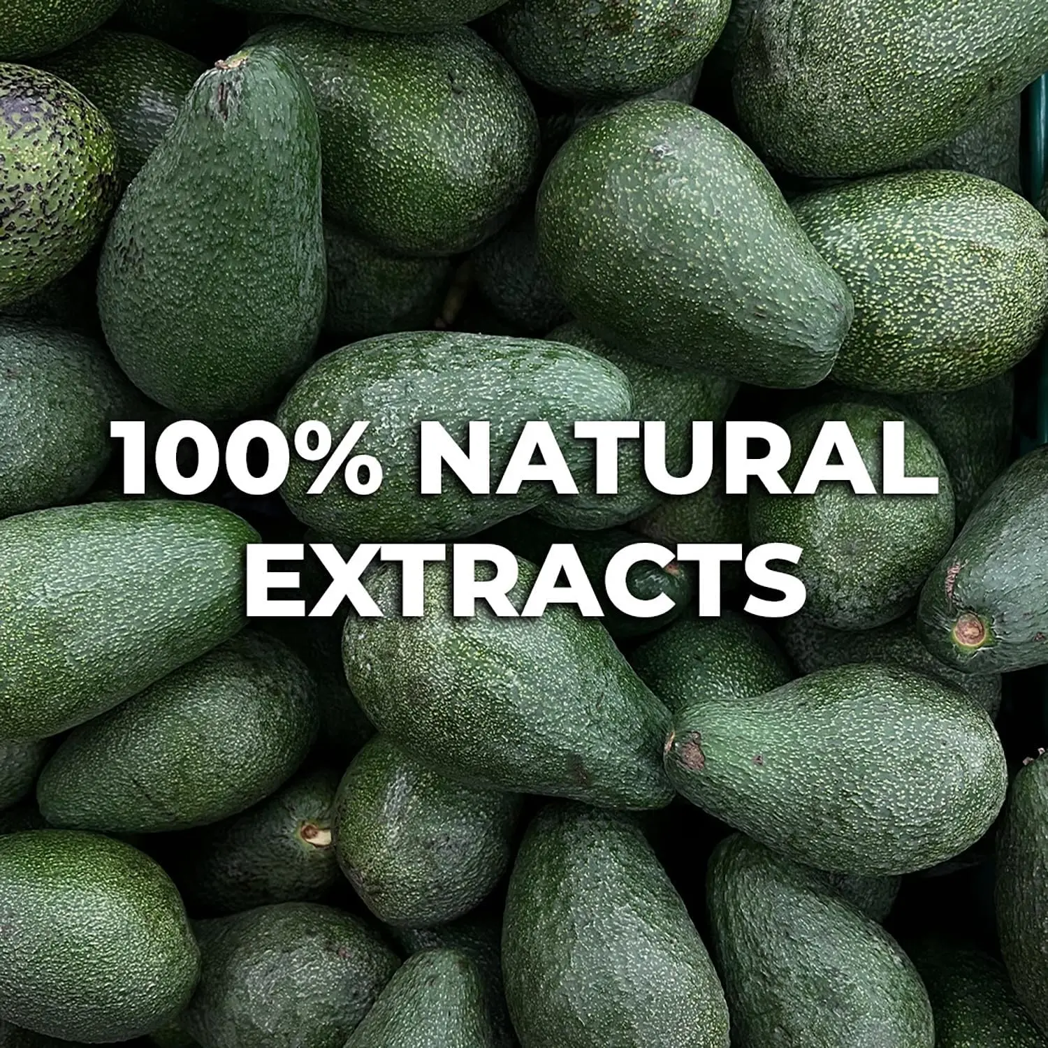 81MmkXMiVNL. AC SL1500 Copy