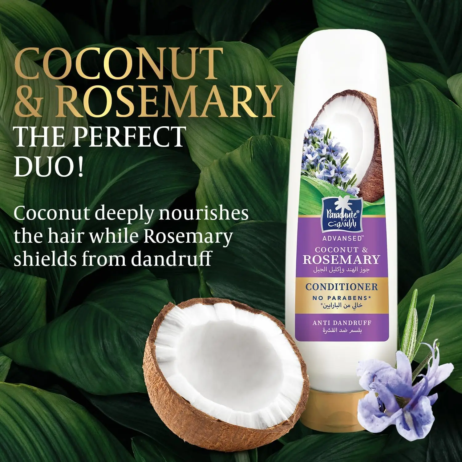 81dUps1YxOL. AC SL1500