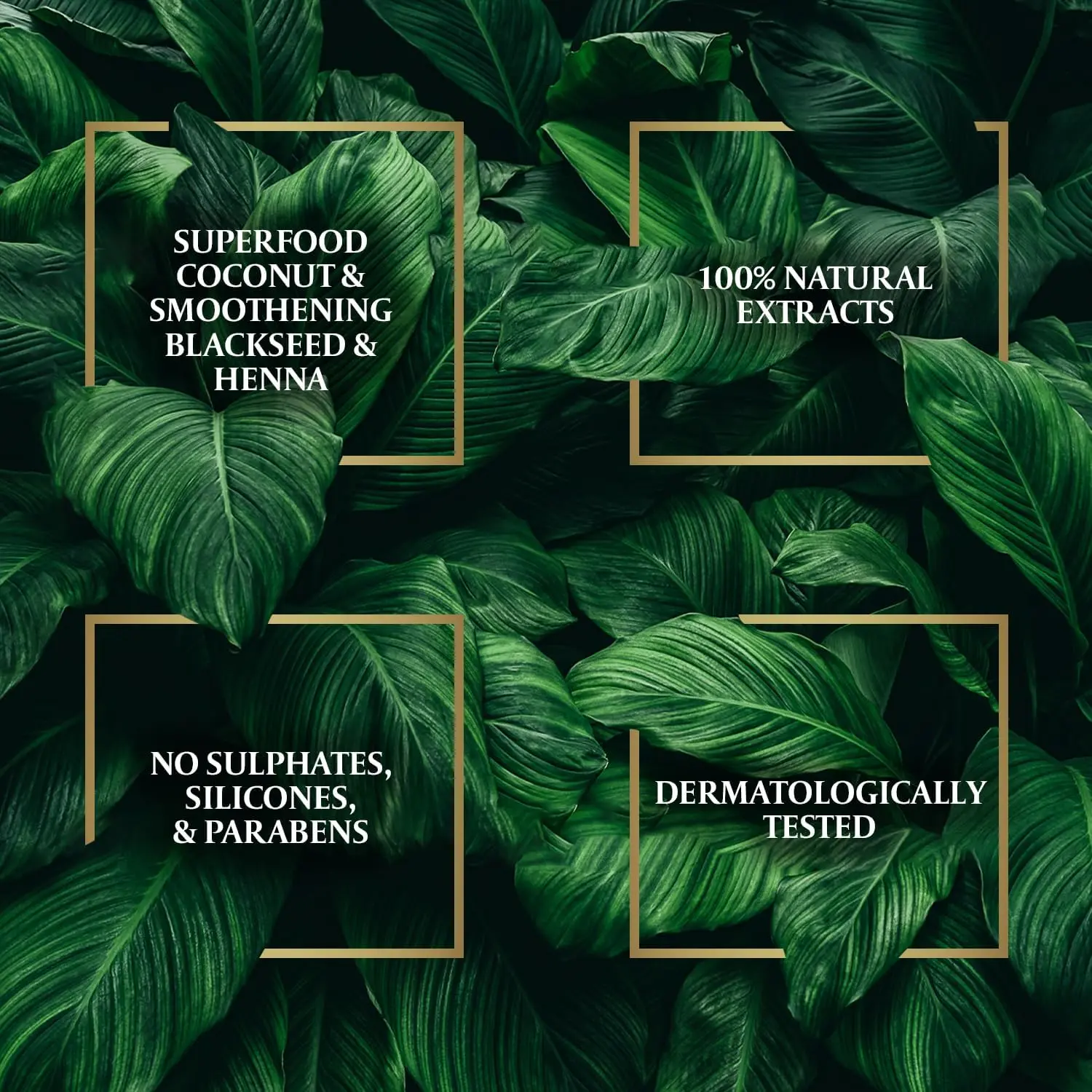 81ld6mPP4wL. AC SL1500