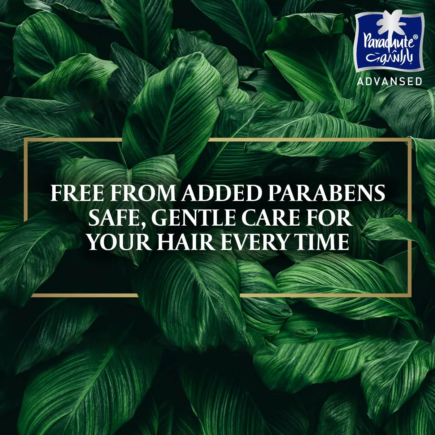 81w Dd7ySAL. AC SL1500