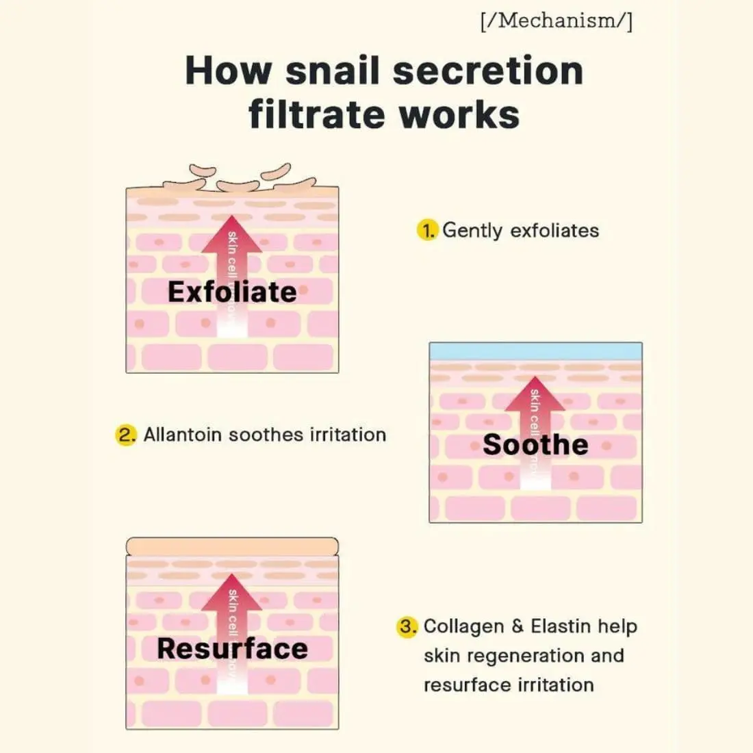 51aE57upneL. AC SL1100