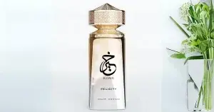 51JMi8ehwOL. AC SL1200